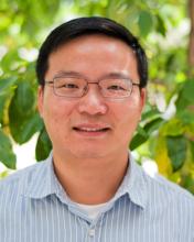 Haining Zhu, Ph.D.